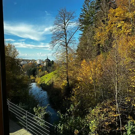 Klimatisiert! Luxus Design Mit Panoramafenster - - & Waldblick, Wechselnde Kunst Zum Erwerb アパート ブレゲンツ